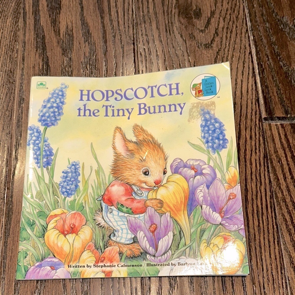 Hopscotch the Tiny Bunny Children's Book
